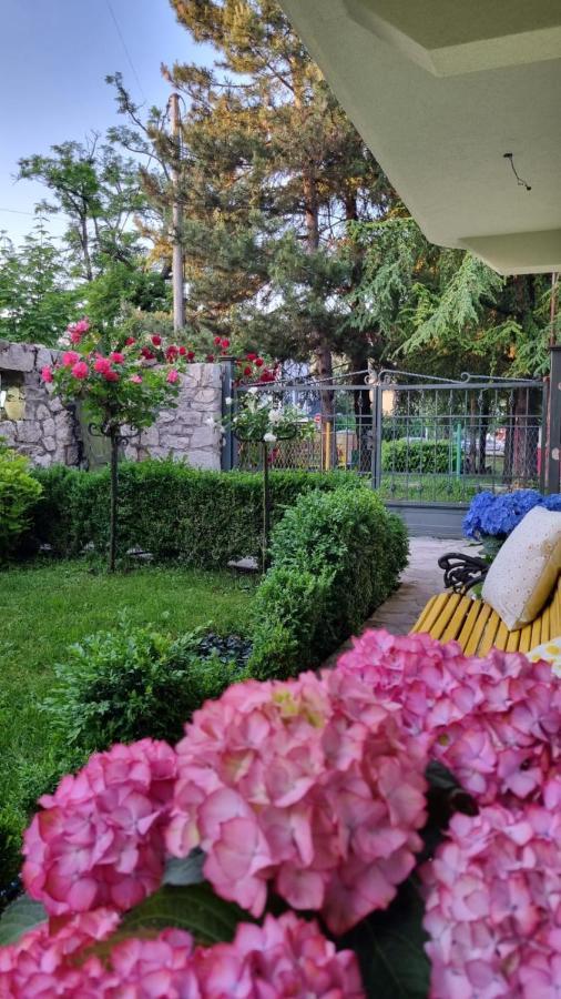 Apartman L&M Cetinje Exteriör bild
