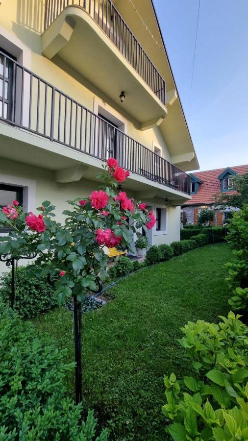 Apartman L&M Cetinje Exteriör bild