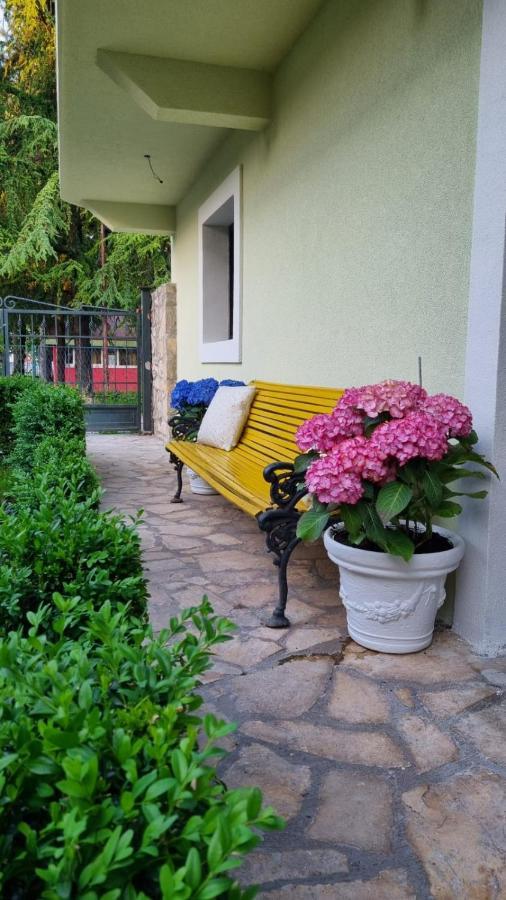 Apartman L&M Cetinje Exteriör bild
