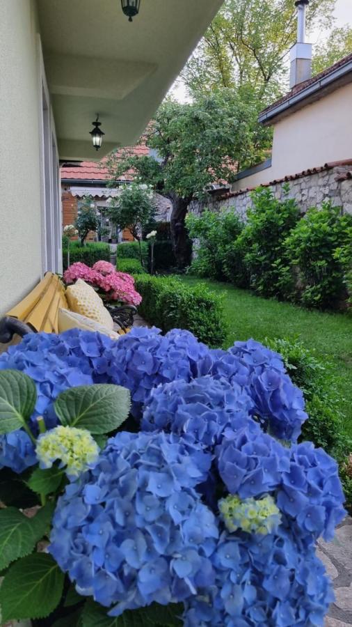 Apartman L&M Cetinje Exteriör bild